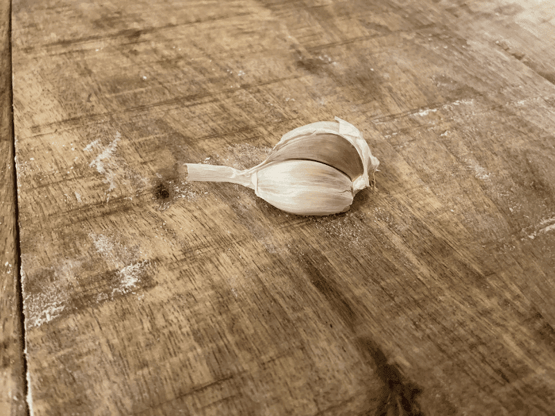 Garlic Plant (Allium sativum)